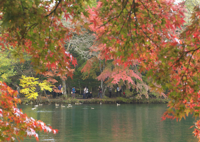 軽井沢イベント
