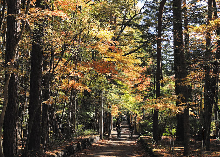 軽井沢イベント